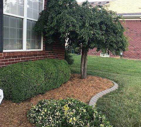 5th image of 8315 Grandel Forest Way