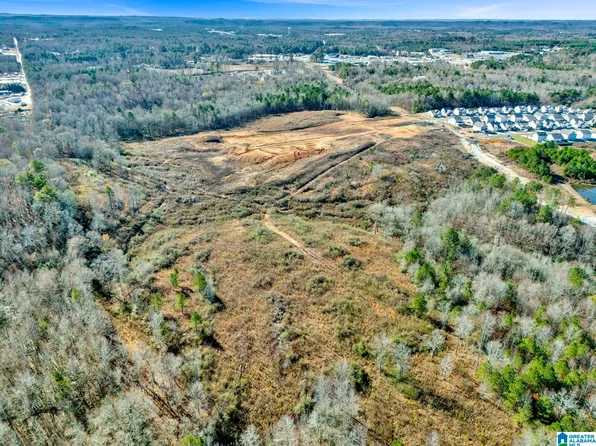 Blackwell Dairy Rd #0, Jasper, AL 35504