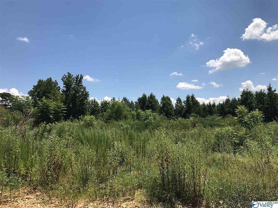 2nd image of Smith Vasser Rd