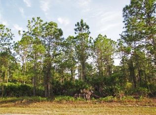 3820 29th Ave NE, Naples, FL 34120