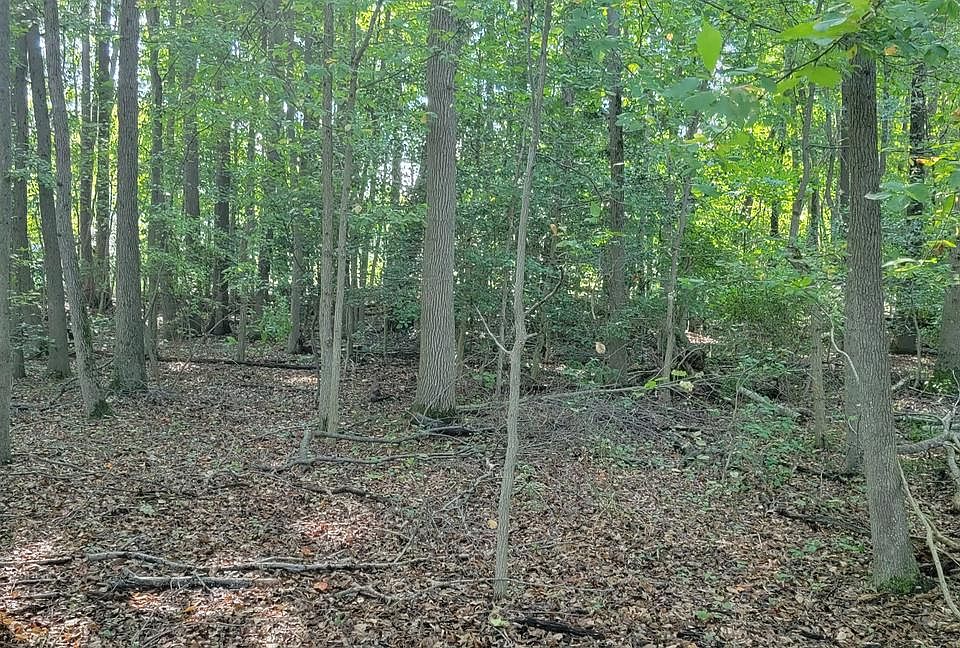 1st image of Beech Ln Parcel 27