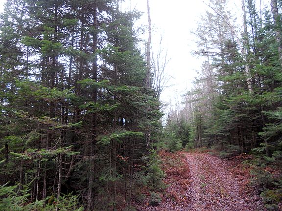 4th image of Off Little Harbor Road