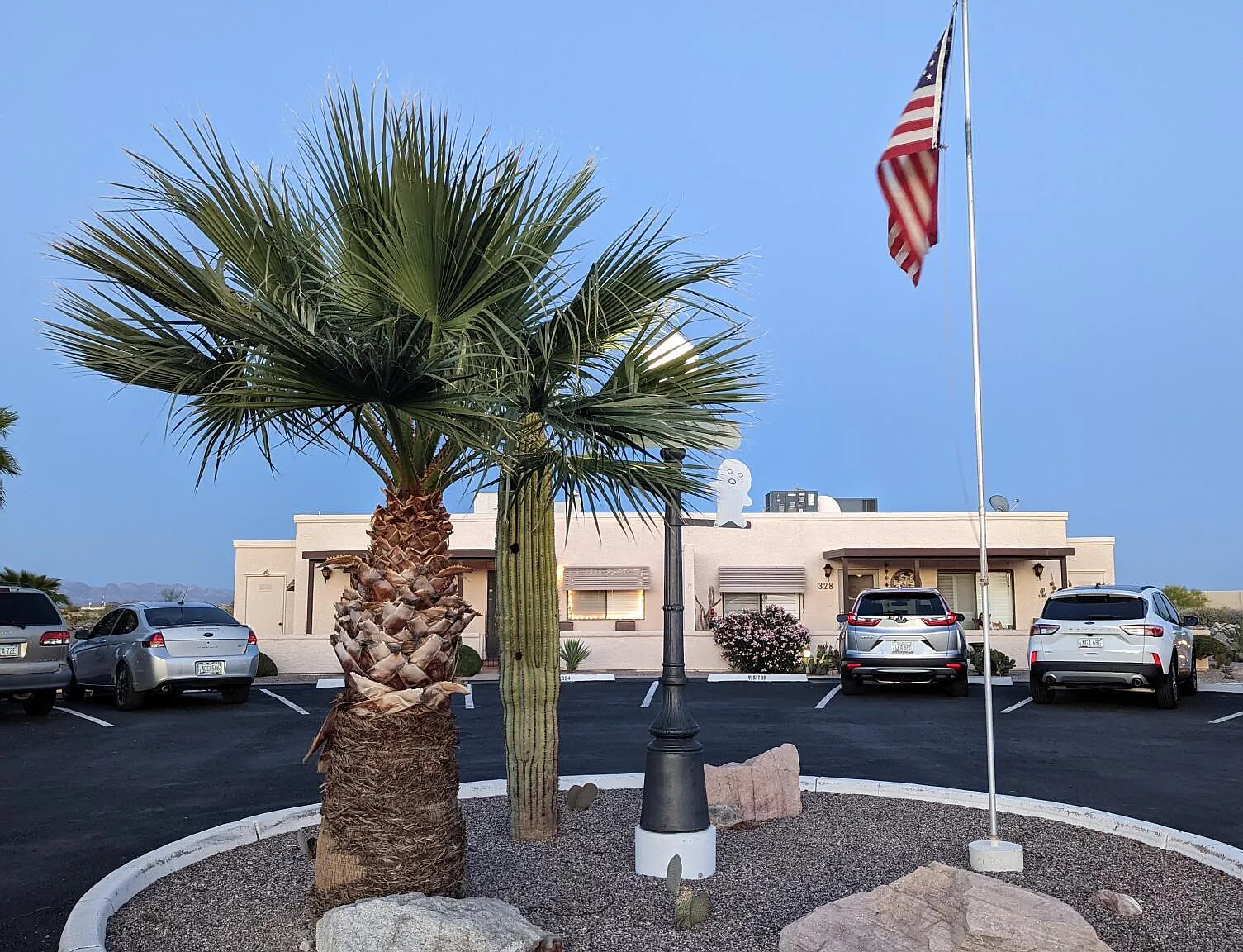 1 bed, 1.0 bath, $950 — Photo 4