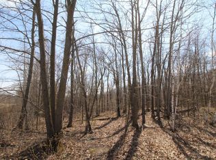 Lake Camille Dr, Randall, MN 56475