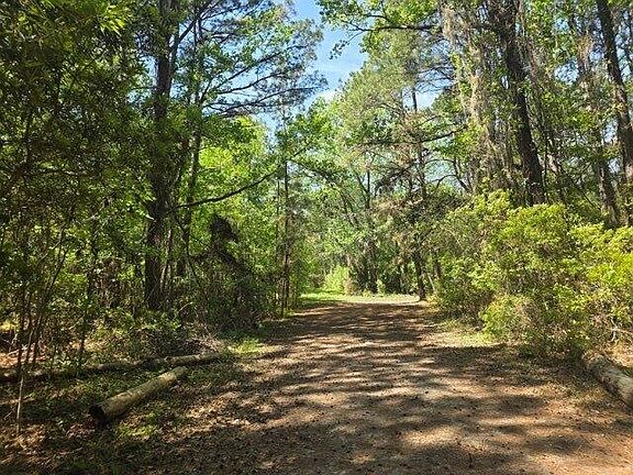 4th image of 0 Bears Bluff Rd Lot B