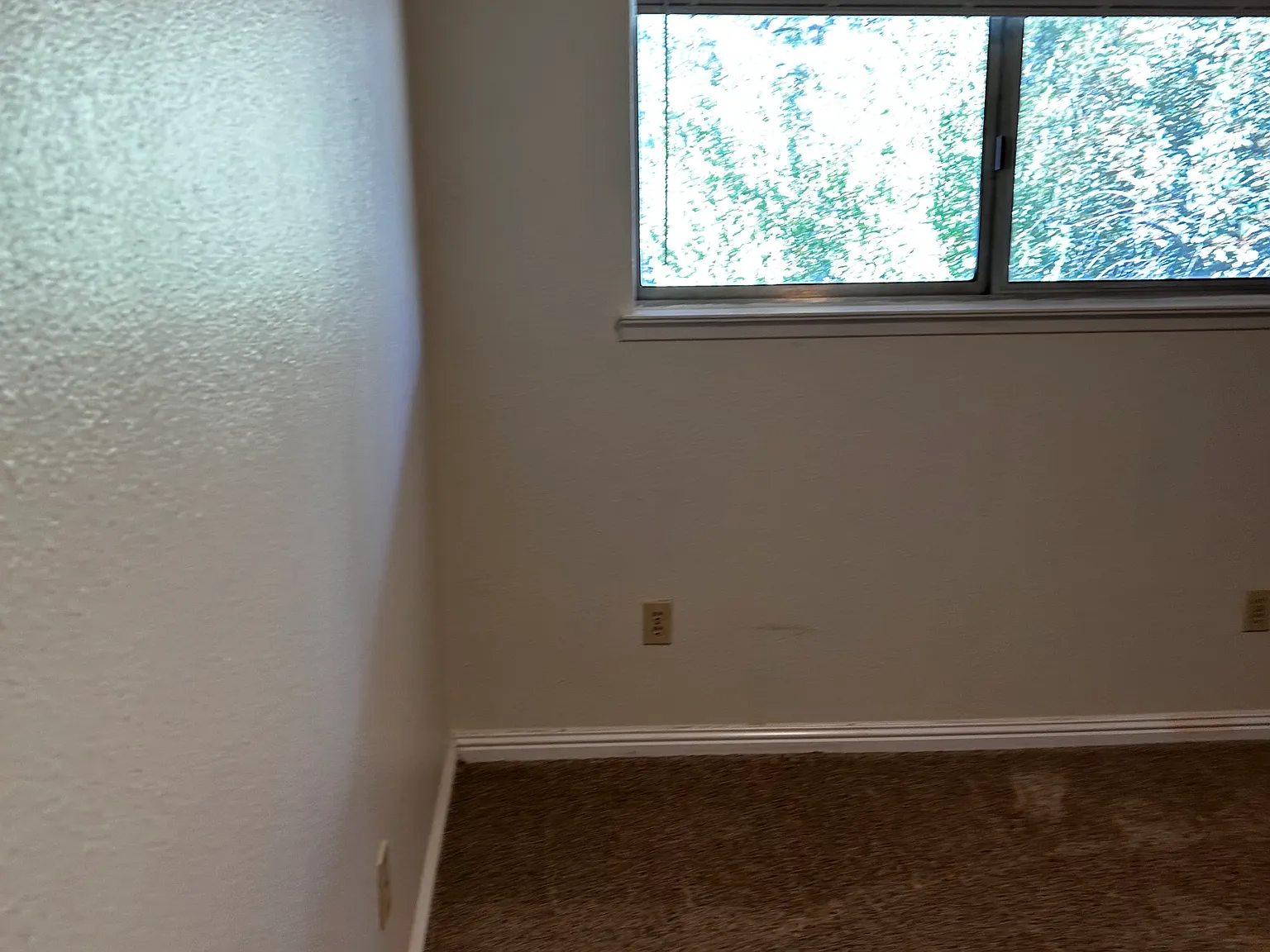 2 bed, 875 sqft, $1,750 — Photo 3