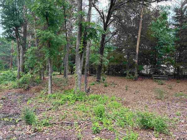 21074 Forest Grove Dr E, Chandler, TX 75758