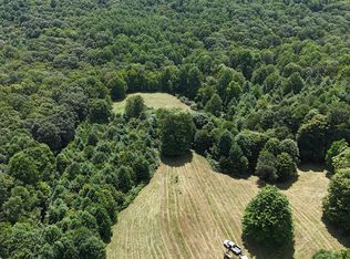 107 Greenfield Ln, Danese, WV 25831