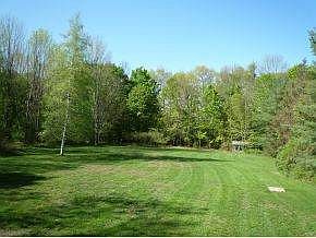 Beautiful back yard