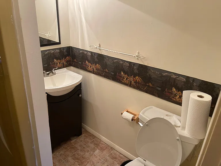 Basement bathroom with stand up shower.