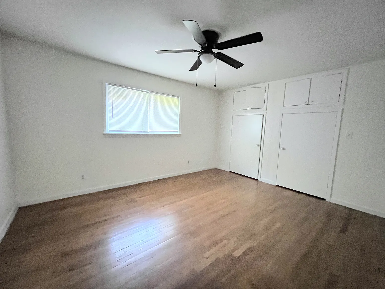 1 bed, 800 sqft, $750 — Photo 3