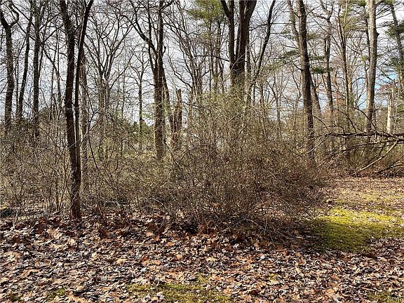 4th image of 1243 Pine Dr