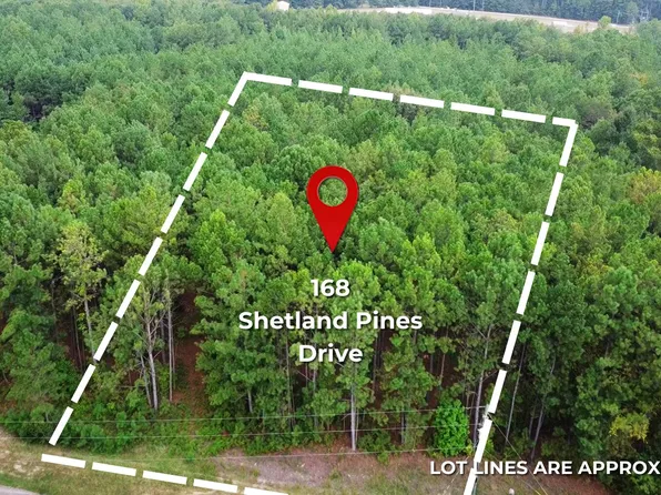168 Shetland Pines Dr, Macon, GA 31216
