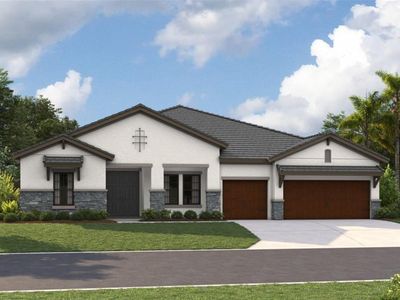 13725 Vista Oaks Ct, Parrish, FL, 34219