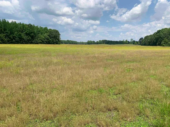 1754 Mount Vernon Rd, Ramer, TN 38367