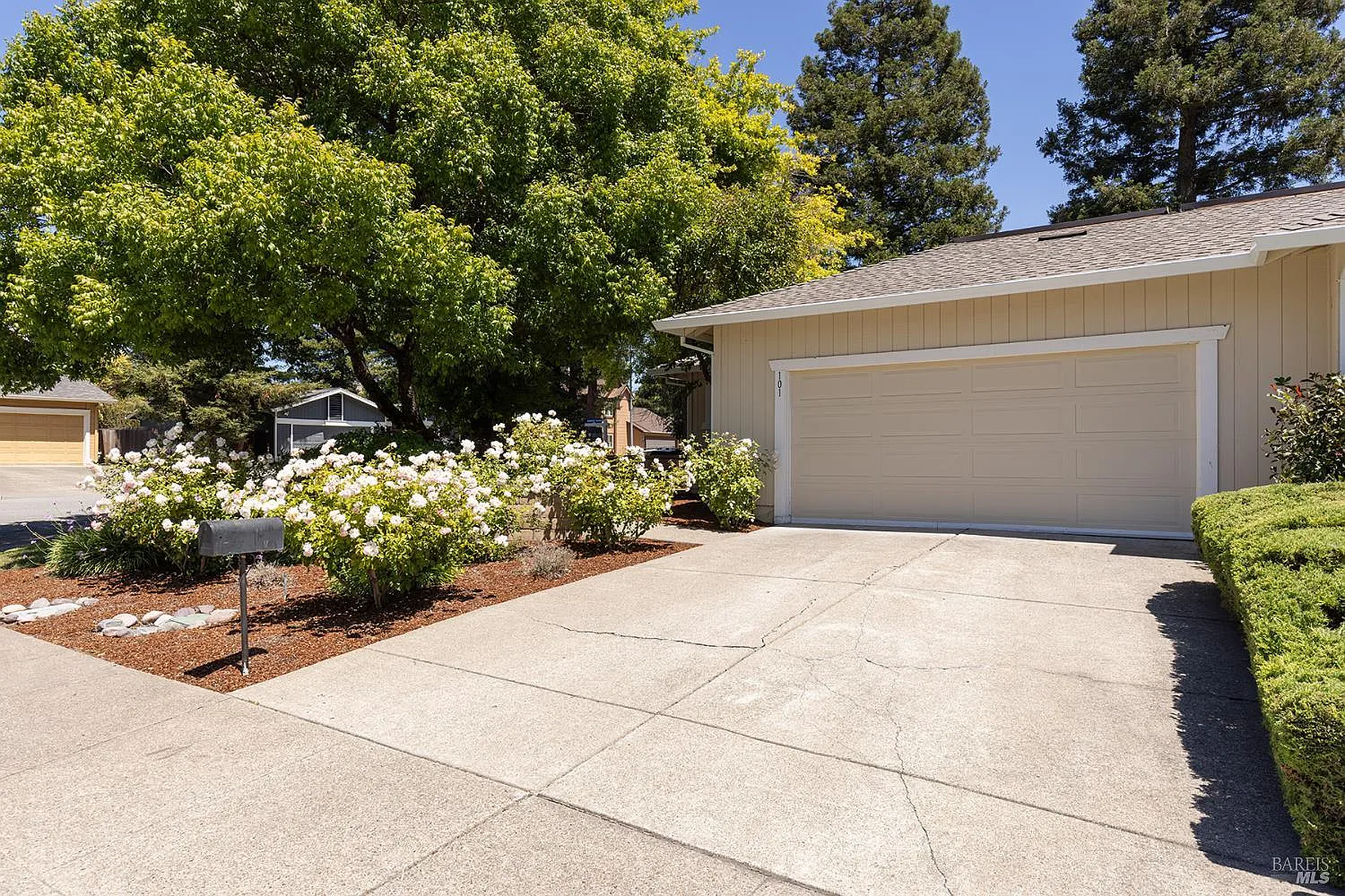 101 Miller Court - Photo 1