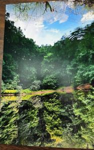 565 Mallard Ln, Marion, VA, 24354