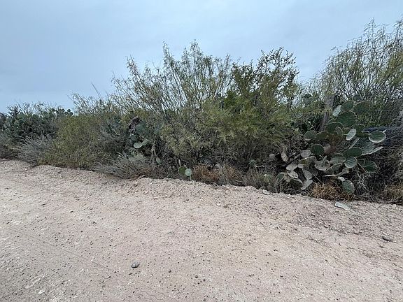 4th image of LOT 60 Los Fresnos Loop
