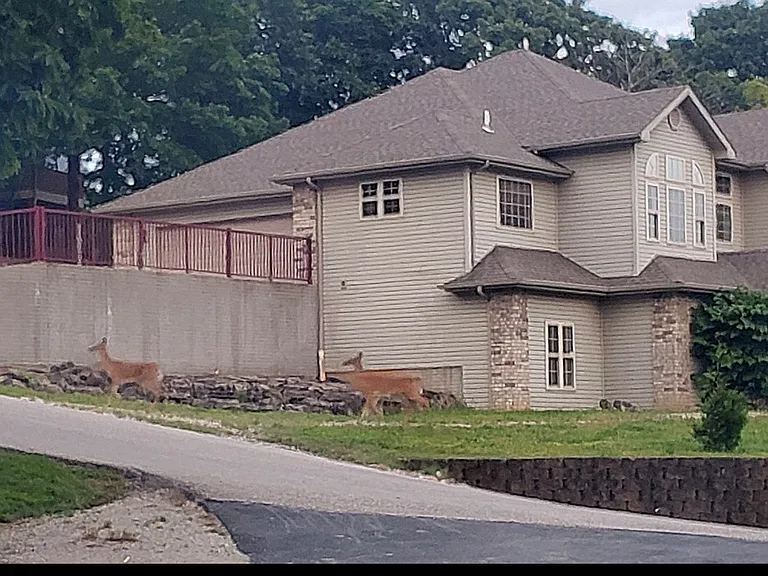19 Oak Creek Cir — Photo 63
