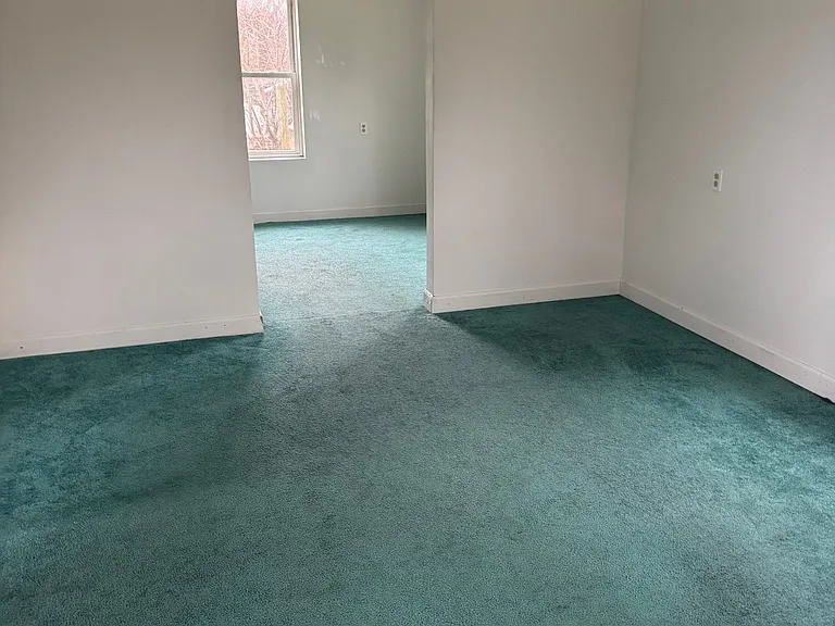920 Sycamore St — Photo 3