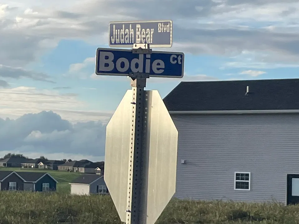 3025 Bodie Ct