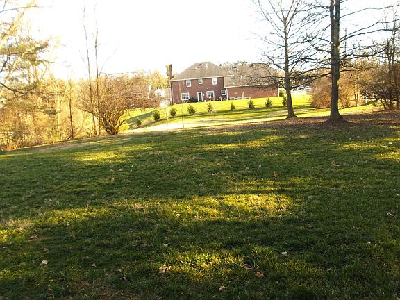 large back yard