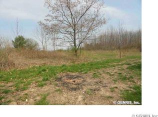 0 Wells Curtice Rd LOT 1, Canandaigua, NY 14424