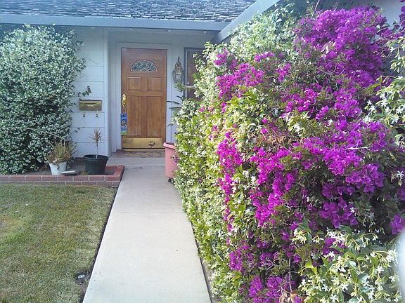 3rd image of 1338 Cabrillo Ave