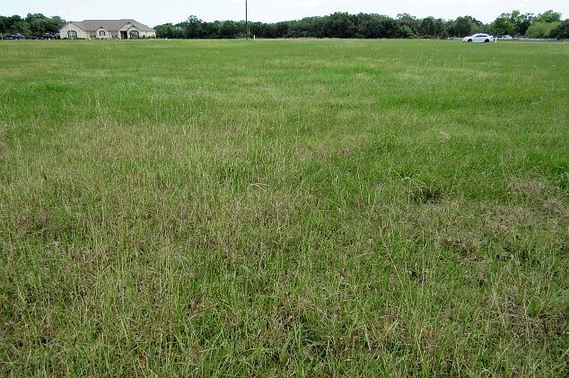 1st image of Lot 2 River Hollow Way