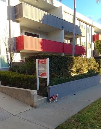 3rd image of 660 S Garfield Ave APT 310