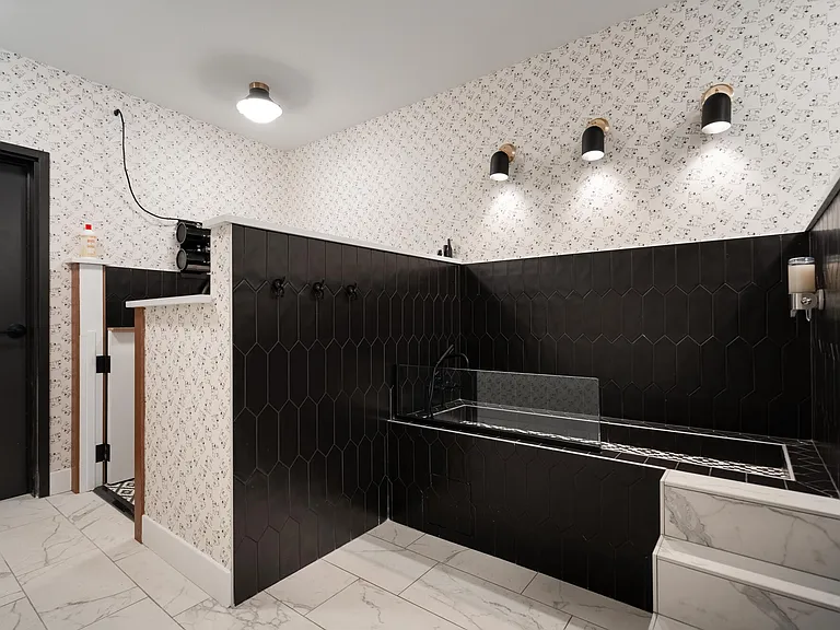 Pet Spa with a Shower, Tub, Nail Trimming Station, and Blow Dryer