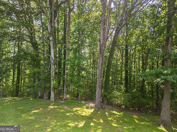 3rd image of 0 Niskey Lake Rd SW