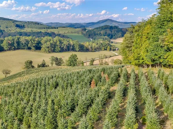 TBD 75A Low Gap, Troutdale, VA 24378