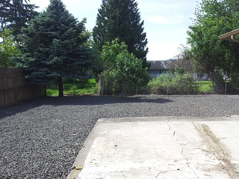 Back yard