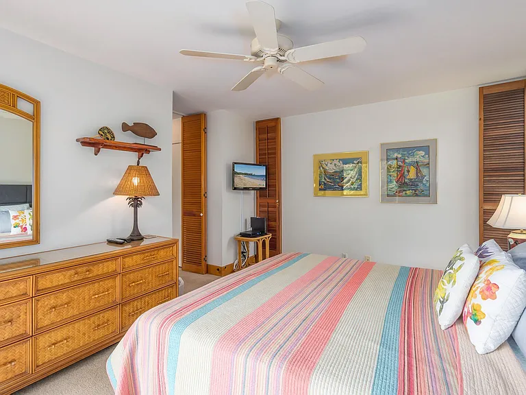 Wailea Alanui Dr — Photo 23