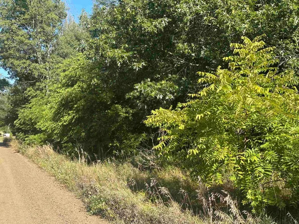 Lots 26 30 Willow St, Lake, MI 48632