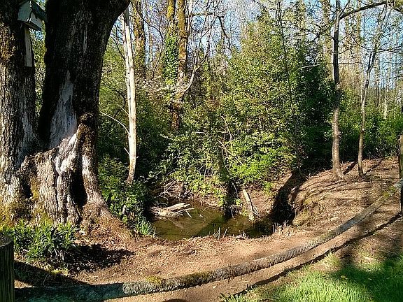 Dry Creek picture