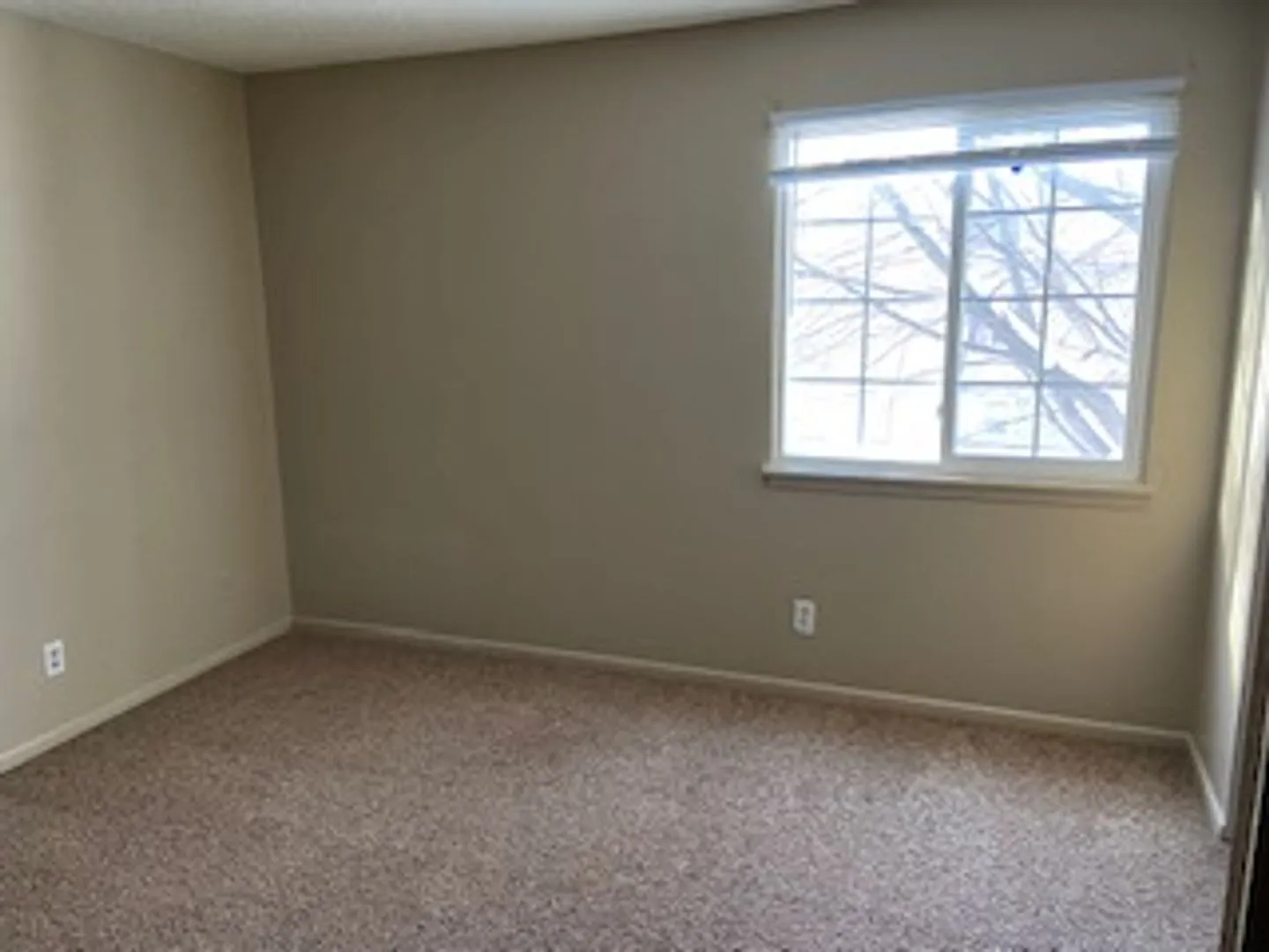 1225 Langley Rd — Photo 4