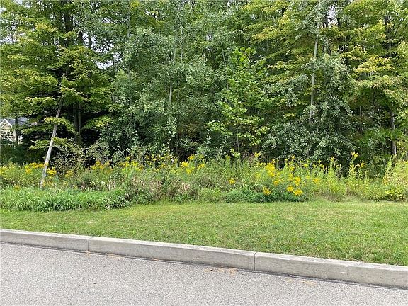 2nd image of LOT 64 Alexander Xing