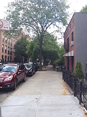 Rented by A D Shaye Realty Group  | media 25