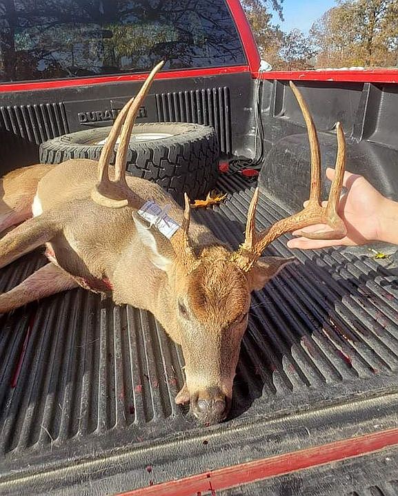 1st image of 7260 County Road 9580