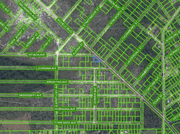 536 Nevada Ave, Lake Placid, FL 33852