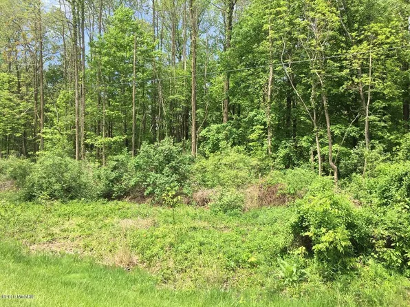 M M 63 N, Coloma, MI 49038