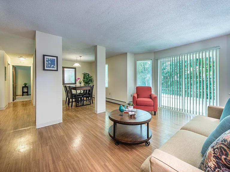 Living Room With Natural Light