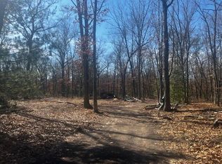 1899 S Reid Rd, Custer, MI 49405