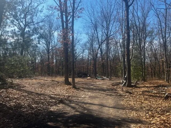 1899 S Reid Rd, Custer, MI 49405