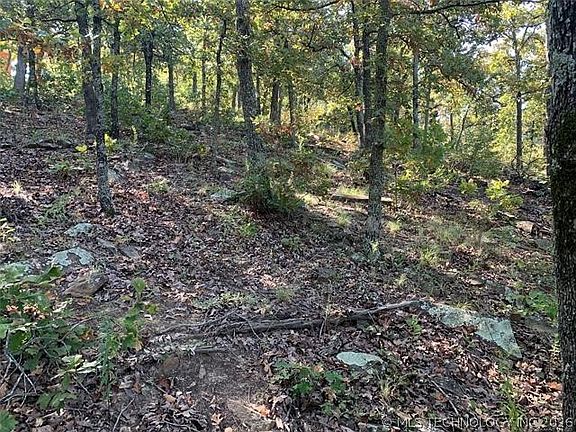 5th image of 12700 Lakeview Rd