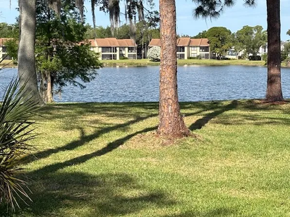 10 Woodlake Pl #10, Oldsmar, FL 34677