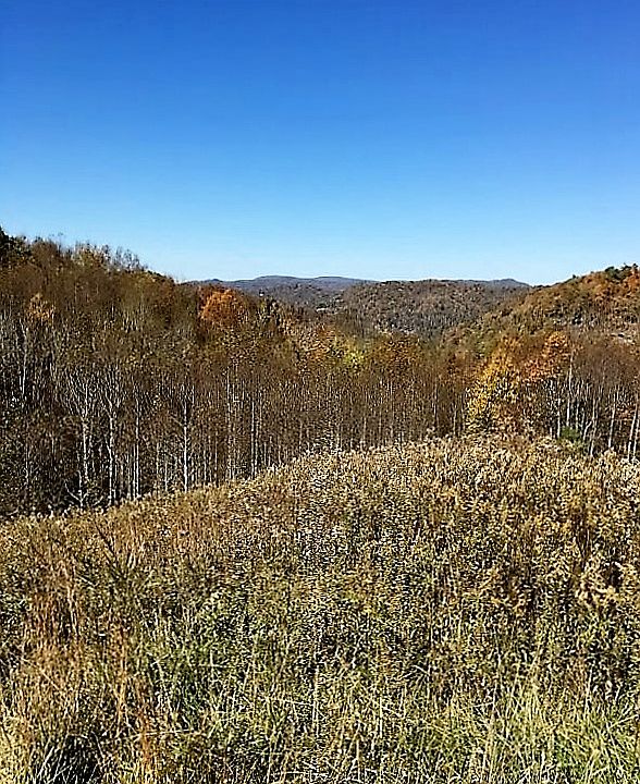 Beautiful View/Sloping Lot