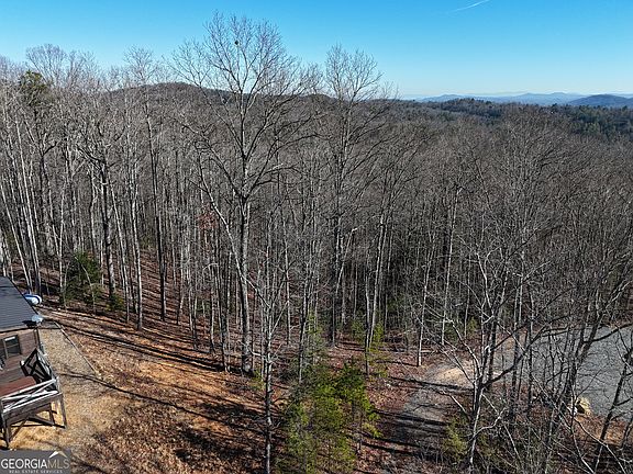 LOT 29-28B Left Turn, Blue Ridge, GA 30513 | MLS #10252613 | Zillow